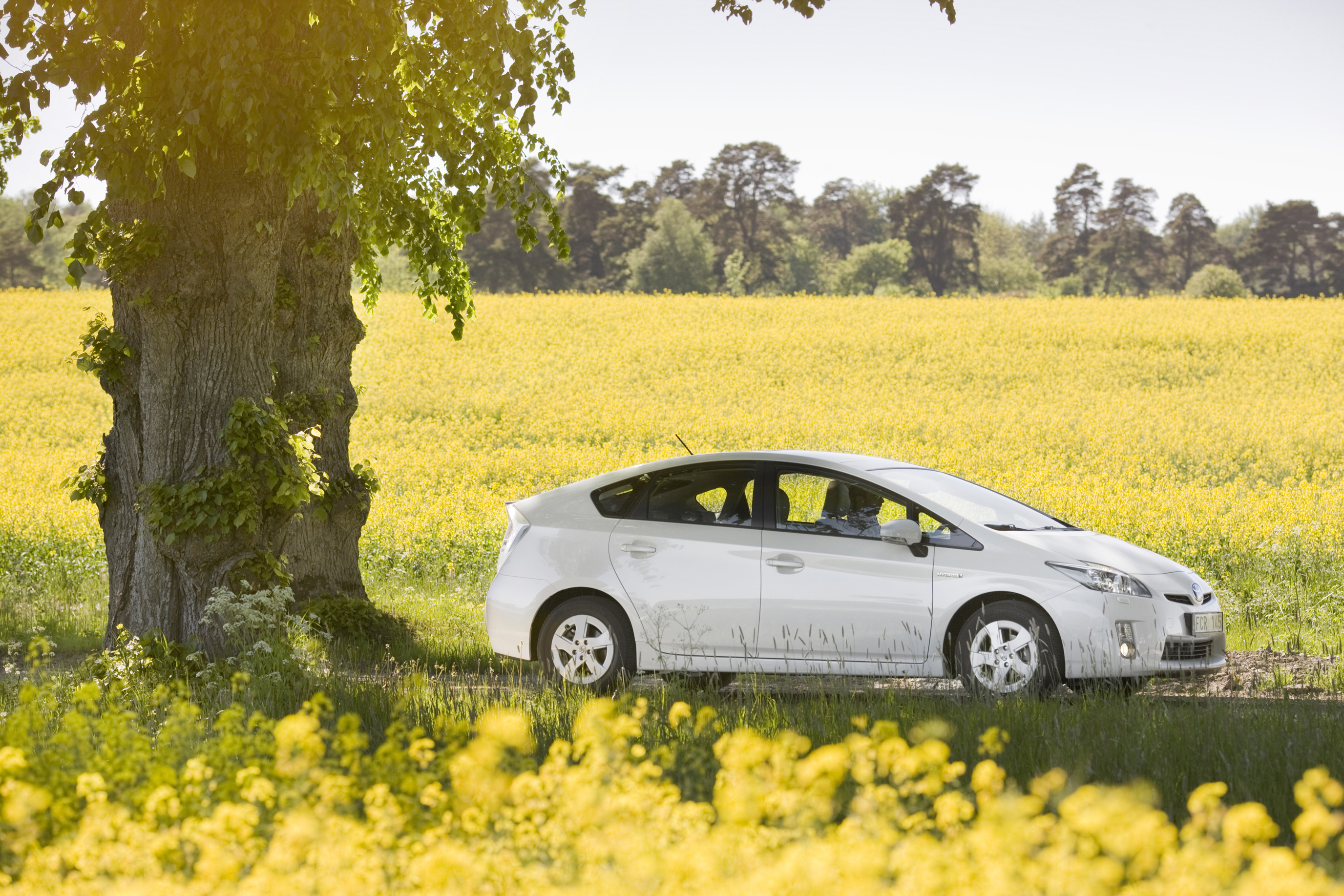 Toyota Prius (PRI_DPL_135_09_EXT)