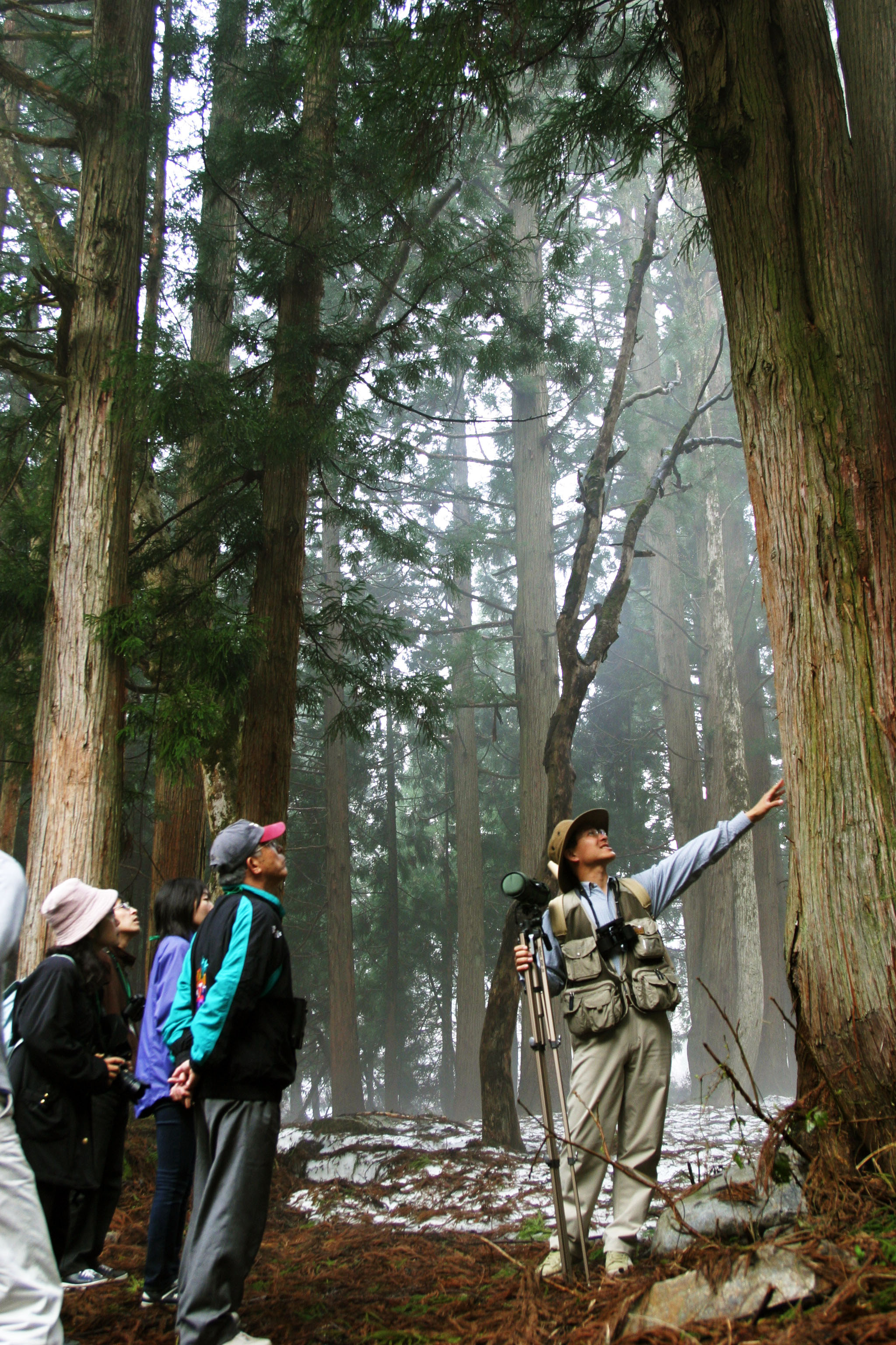 Führung in einem Waldreservat am Fuß des Mount Hakusan