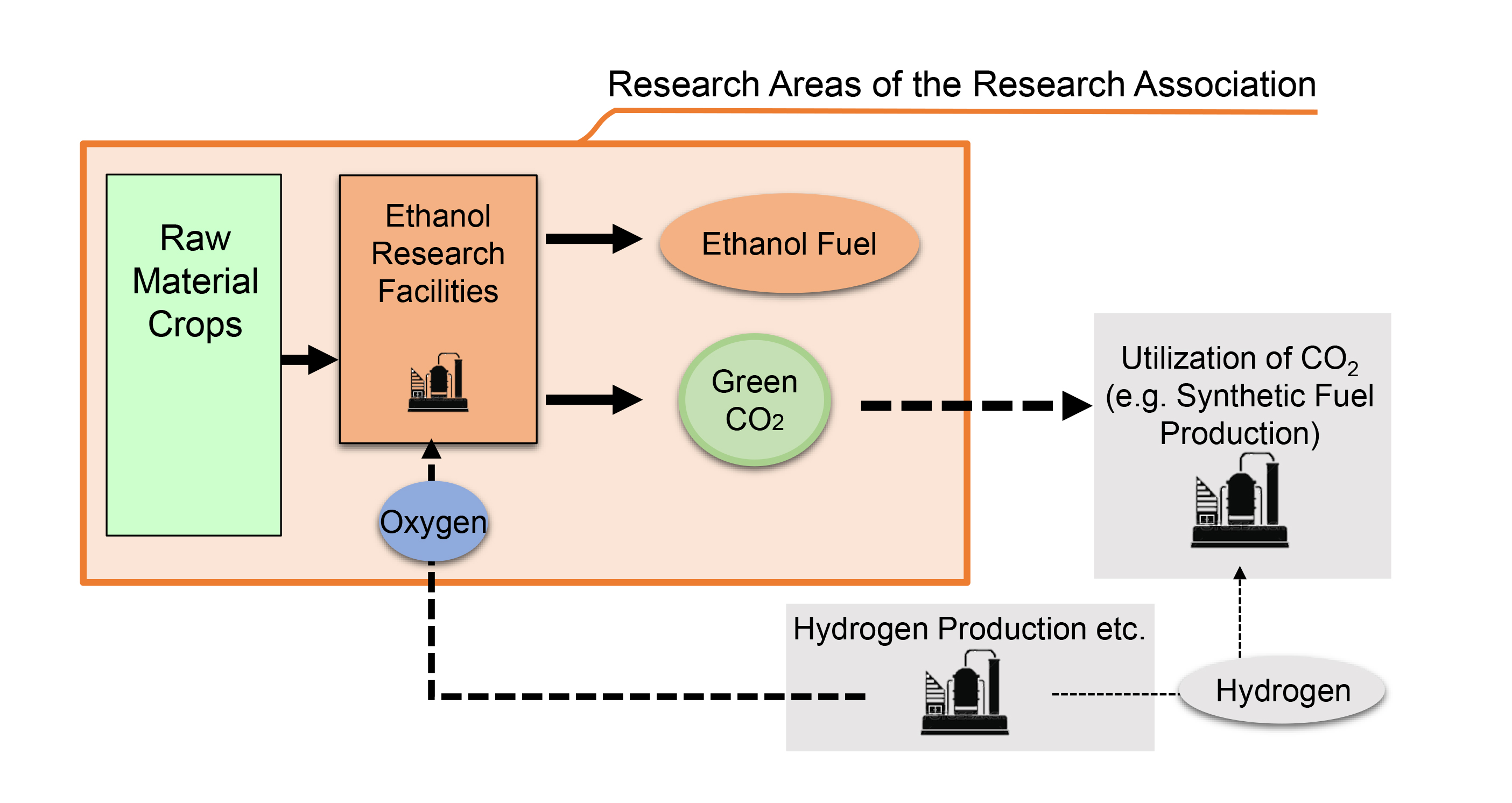 Toyota an Forschungsverbund zur Bioethanol-Herstellung beteiligt<br>
Beteiligte Unternehmen untersuchen Automobil-Kraftstoffe der nächsten Generation