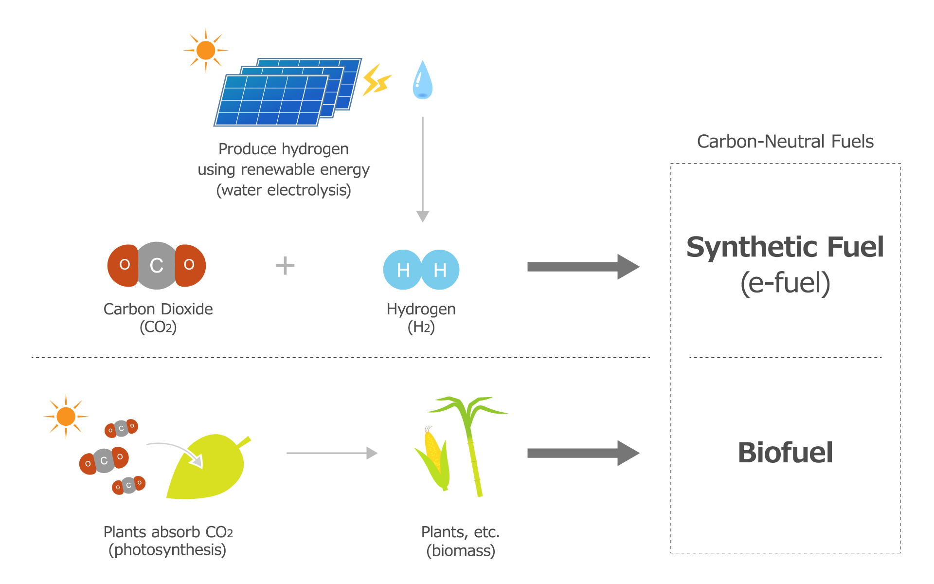 Toyota und Partner forschen an CO2-neutralen Kraftstoffen<br>
Großangelegte Studie von beteiligten Partnerunternehmen