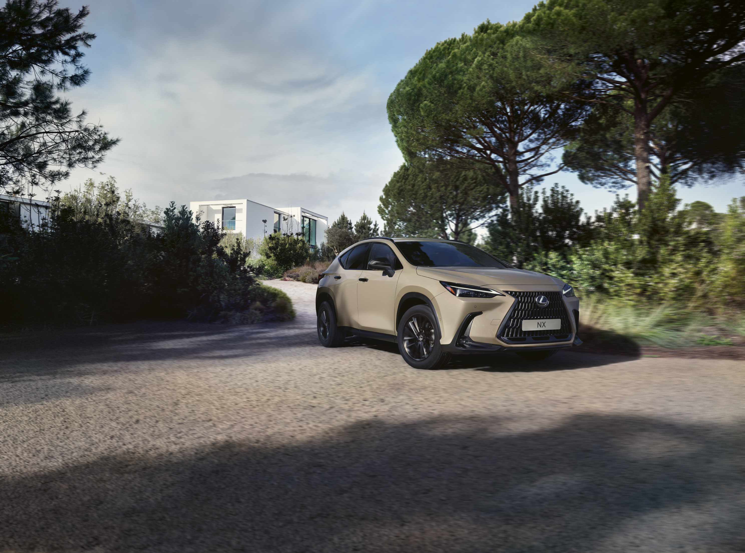 Lexus NX Overtrail
