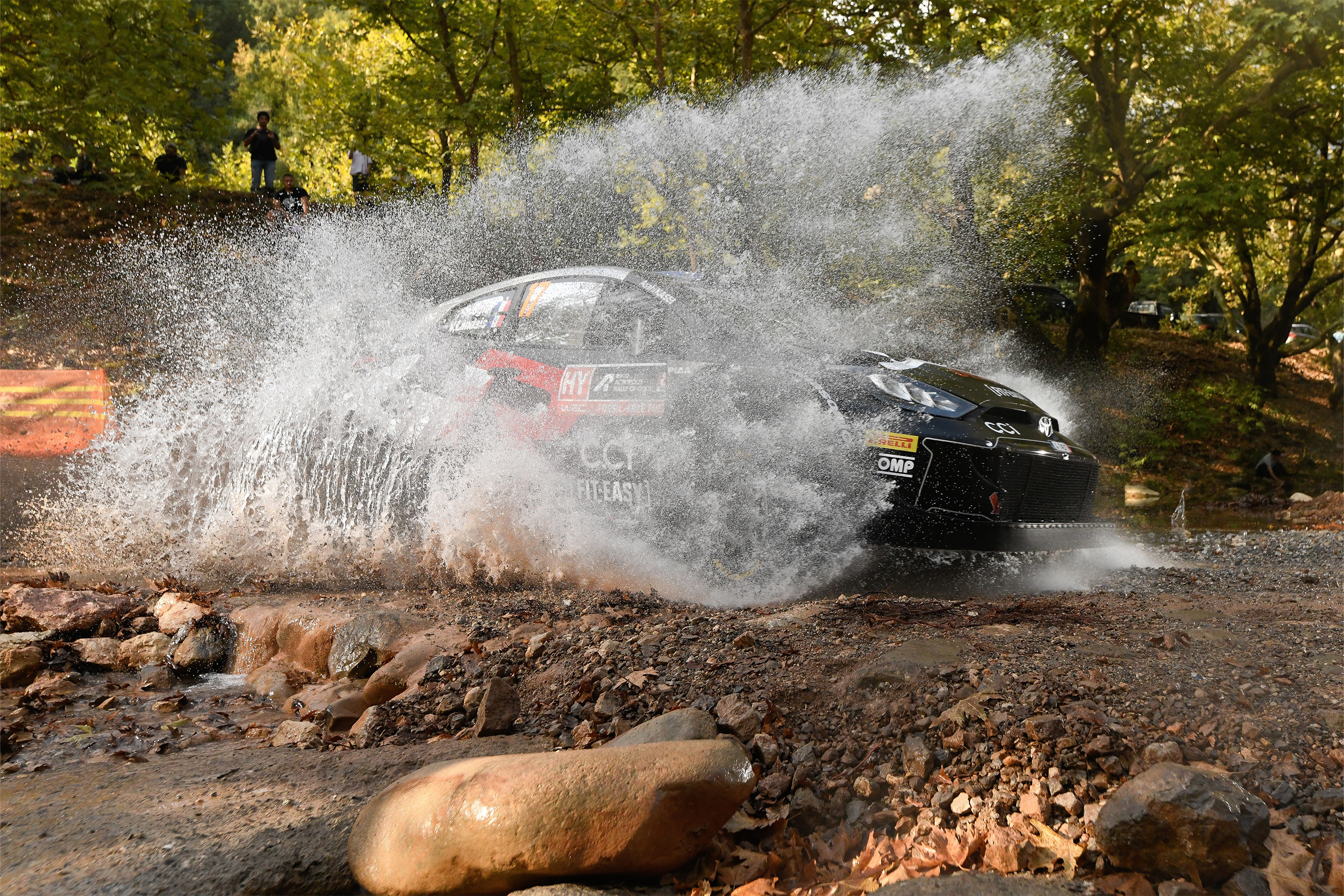Car 17 (Sébastien Ogier, Vincent Landais)