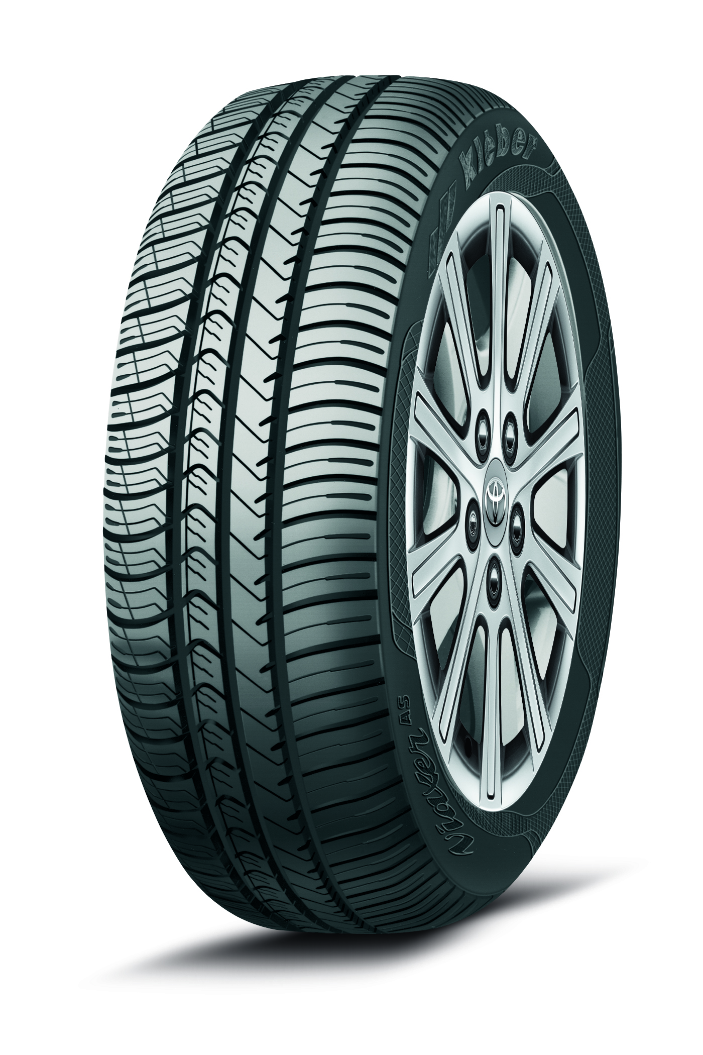 Viaxer_AS_1_1cmyk_rb_NEU