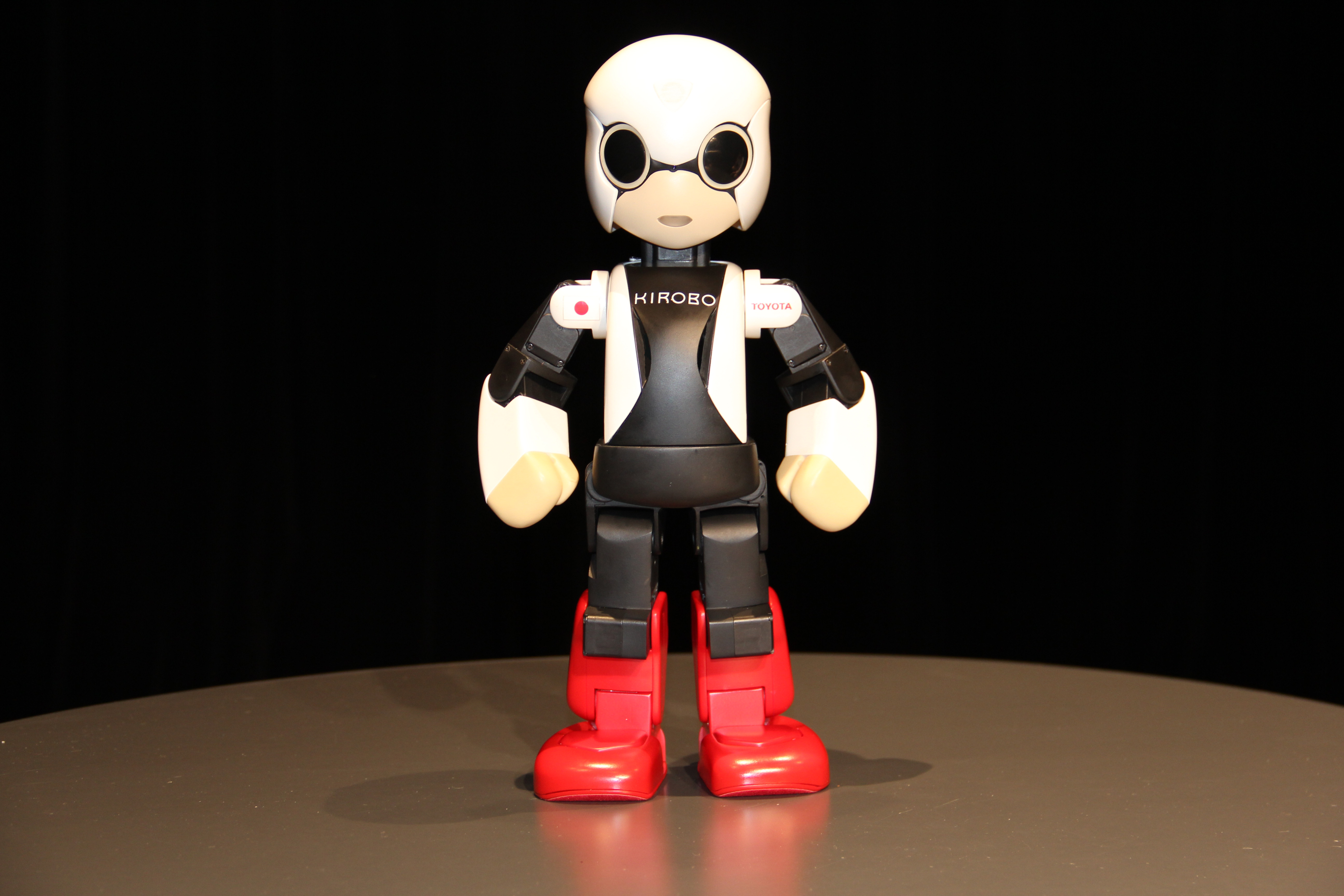 Kirobo Space 2013