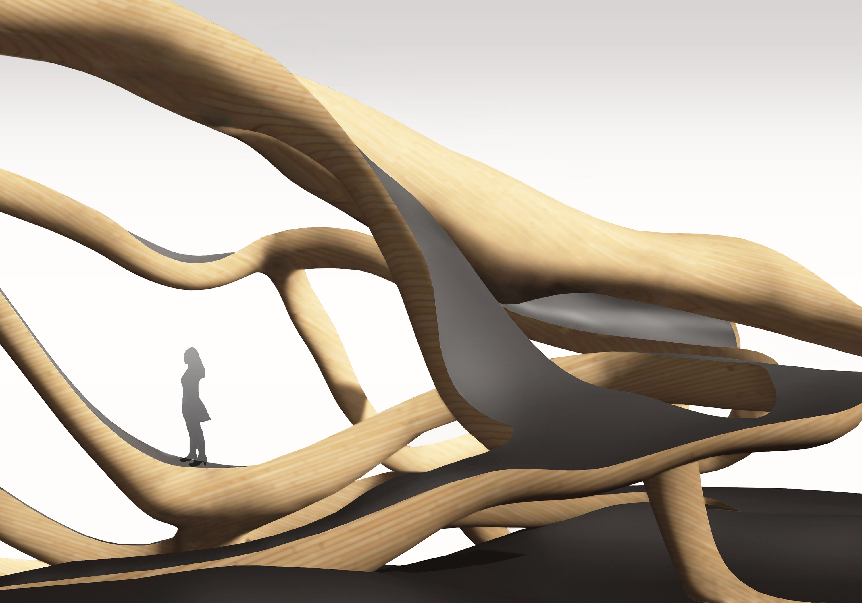 LEXUS_perspective_sv+