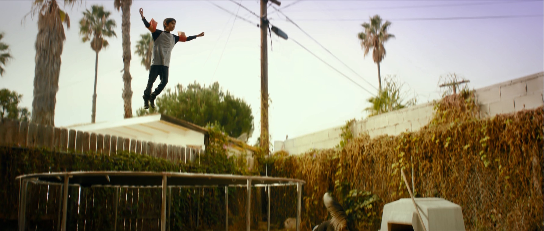 Dritter Lexus Kurzfilm online