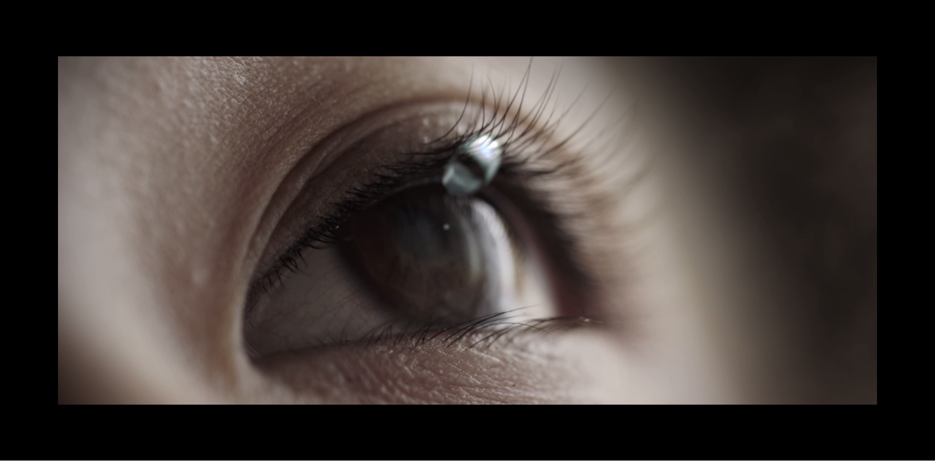 Vierter Lexus Kurzfilm online