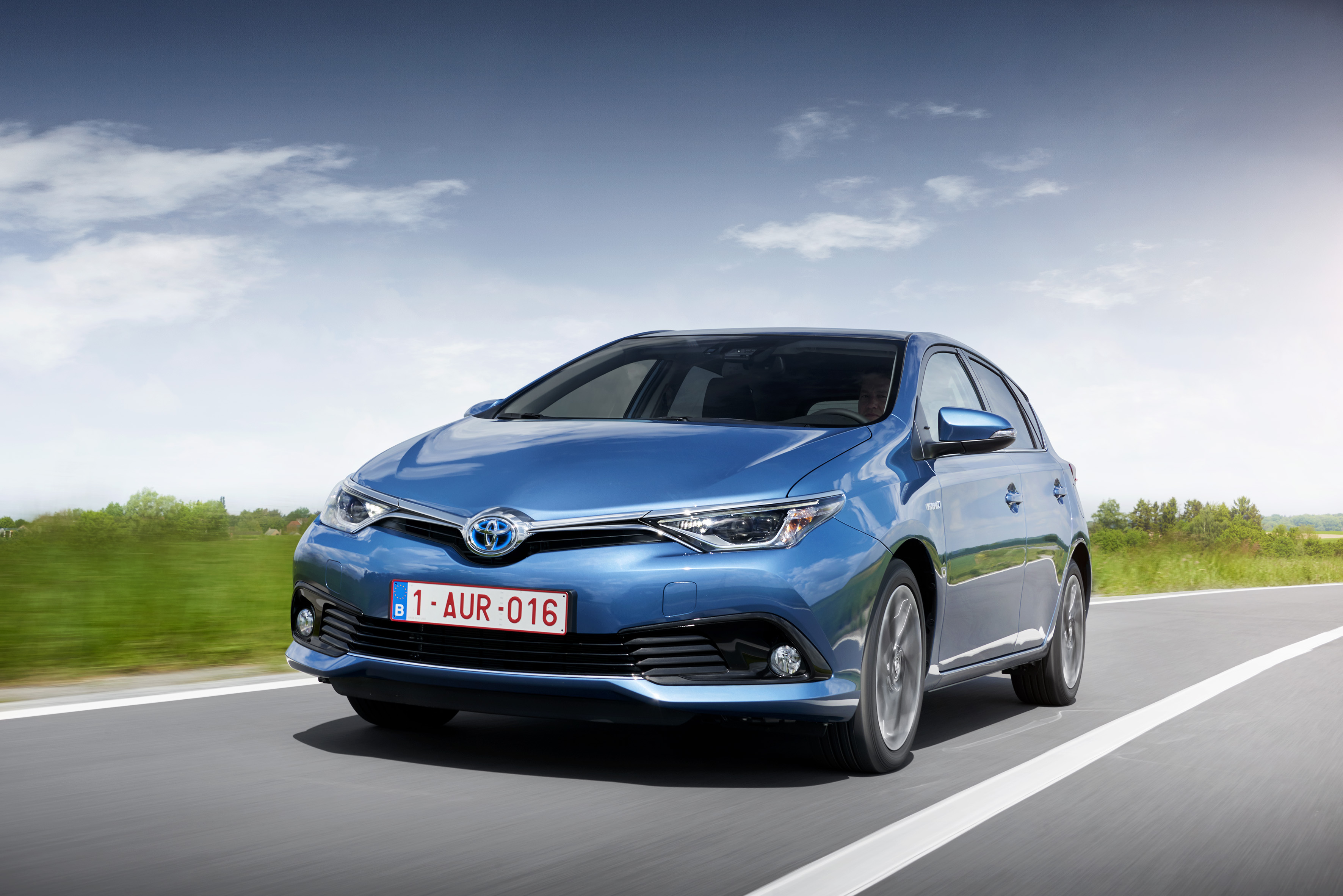 Auris_22.jpg