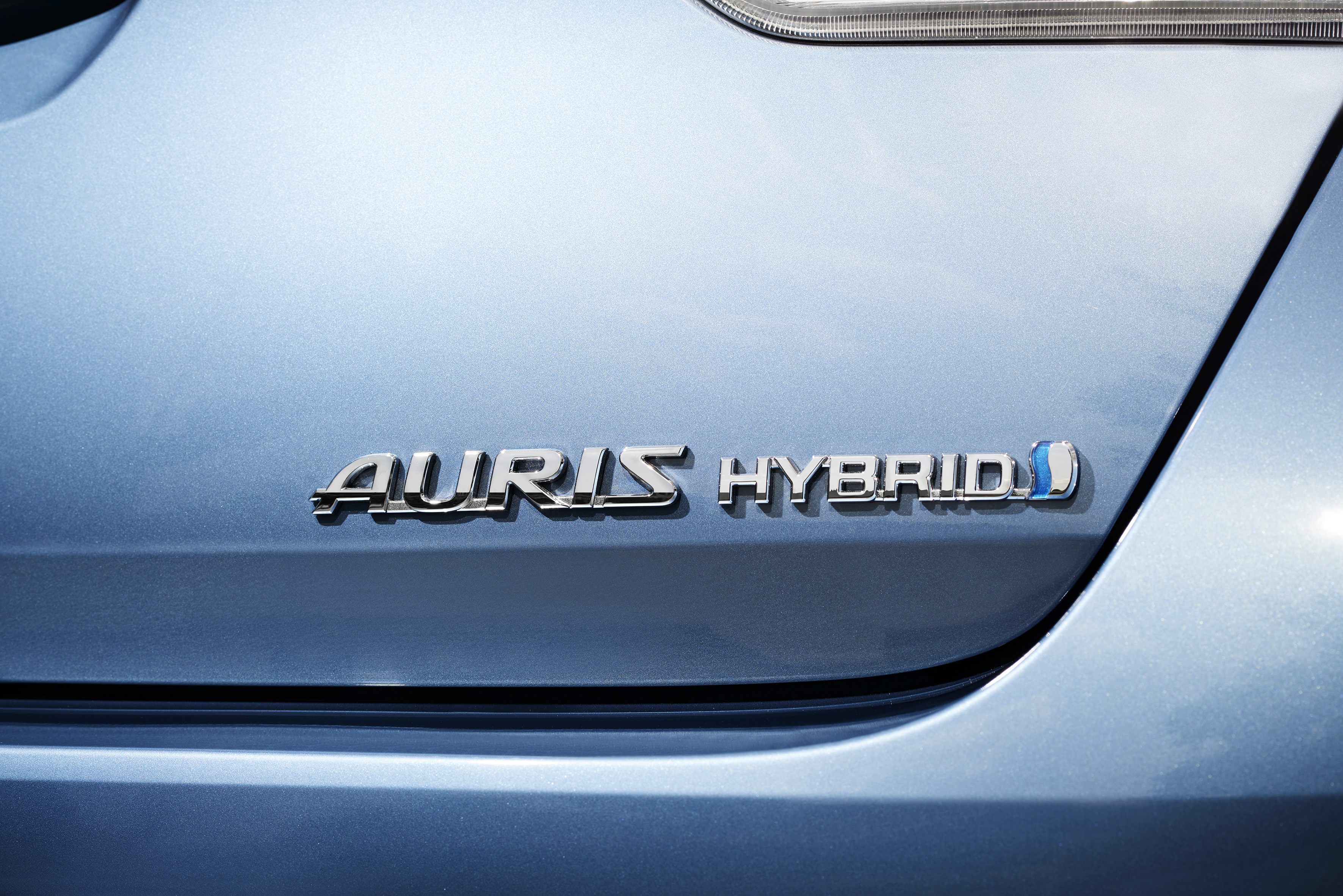 Auris_39.jpg
