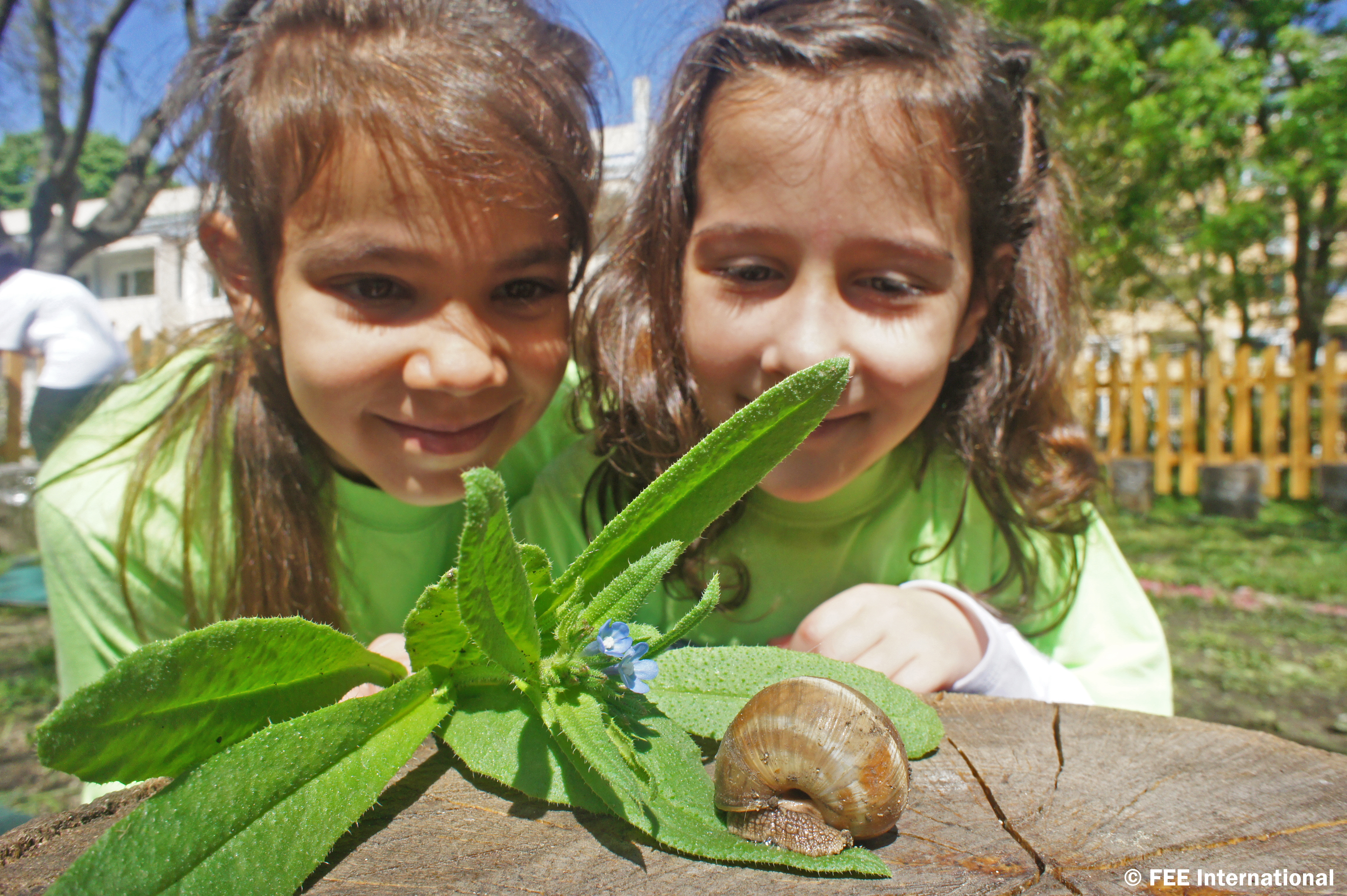 Biodiversity1BIGlogo.jpg