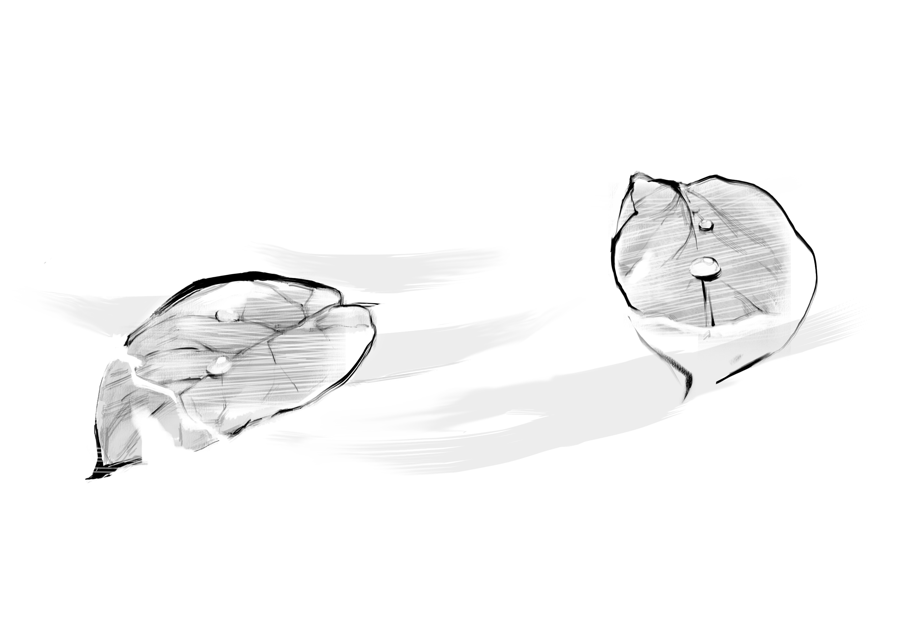 Buoyancy.jpg