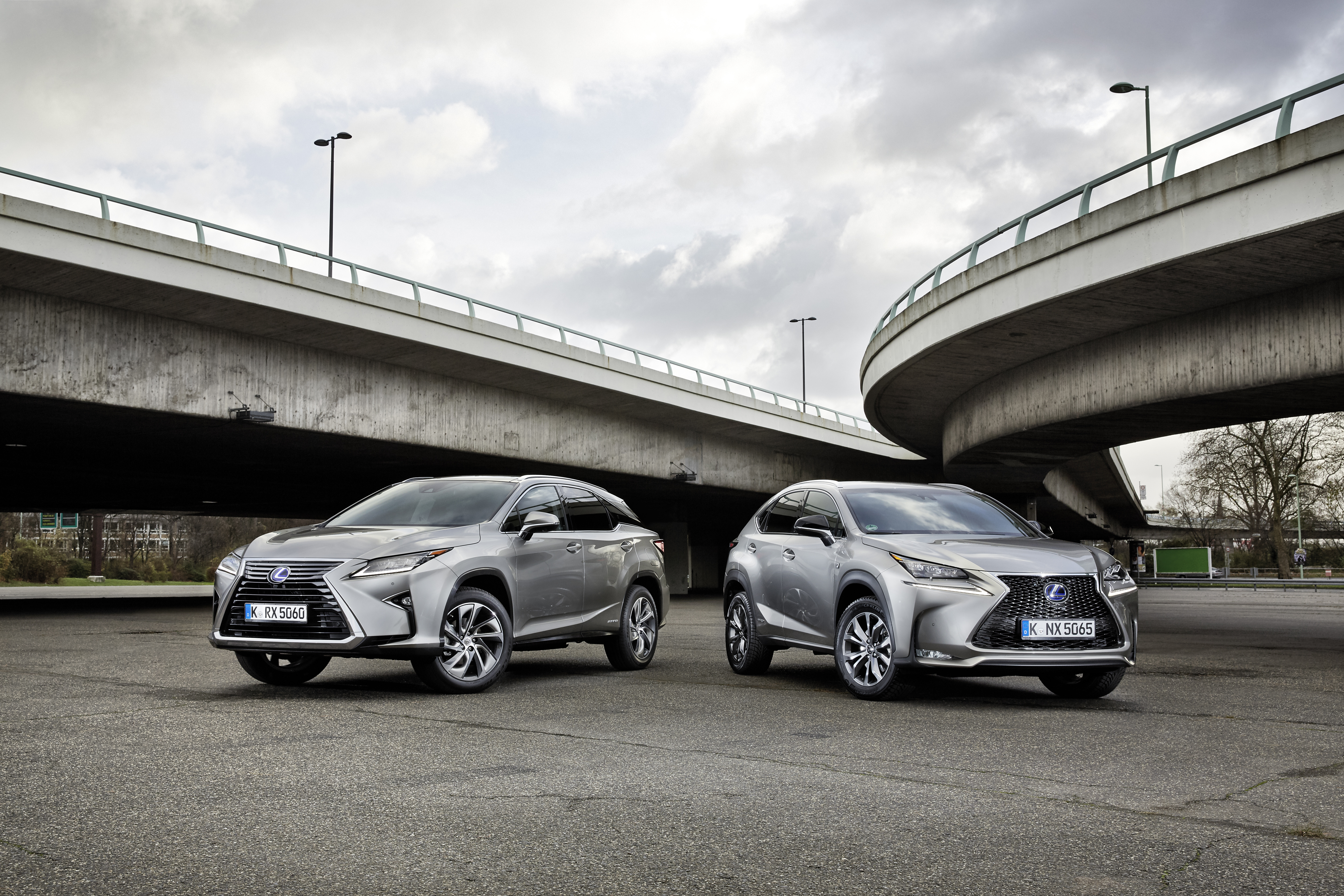 01 LEXUS RX NX.jpg