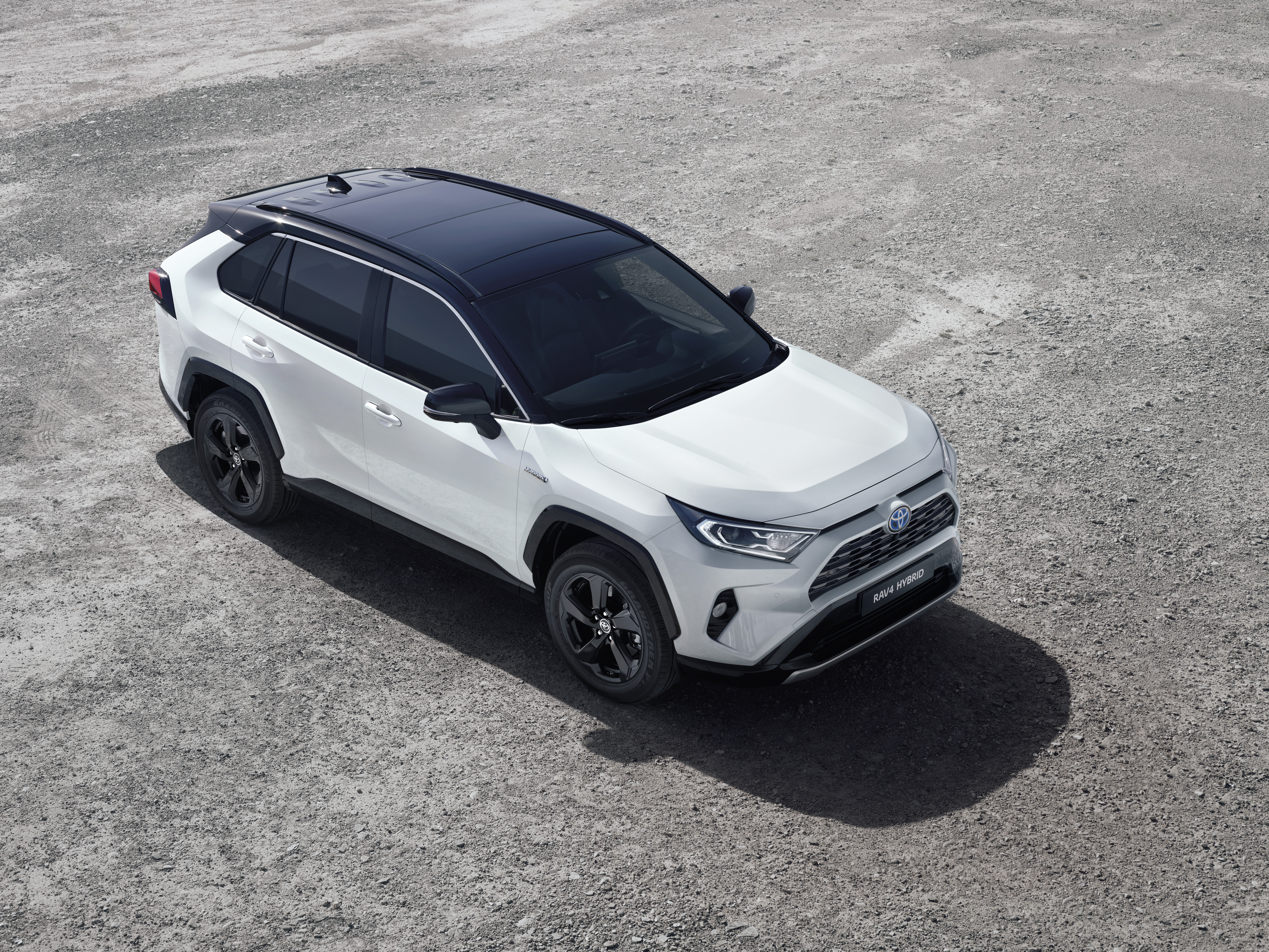 2019 RAV4 HYBRID 03