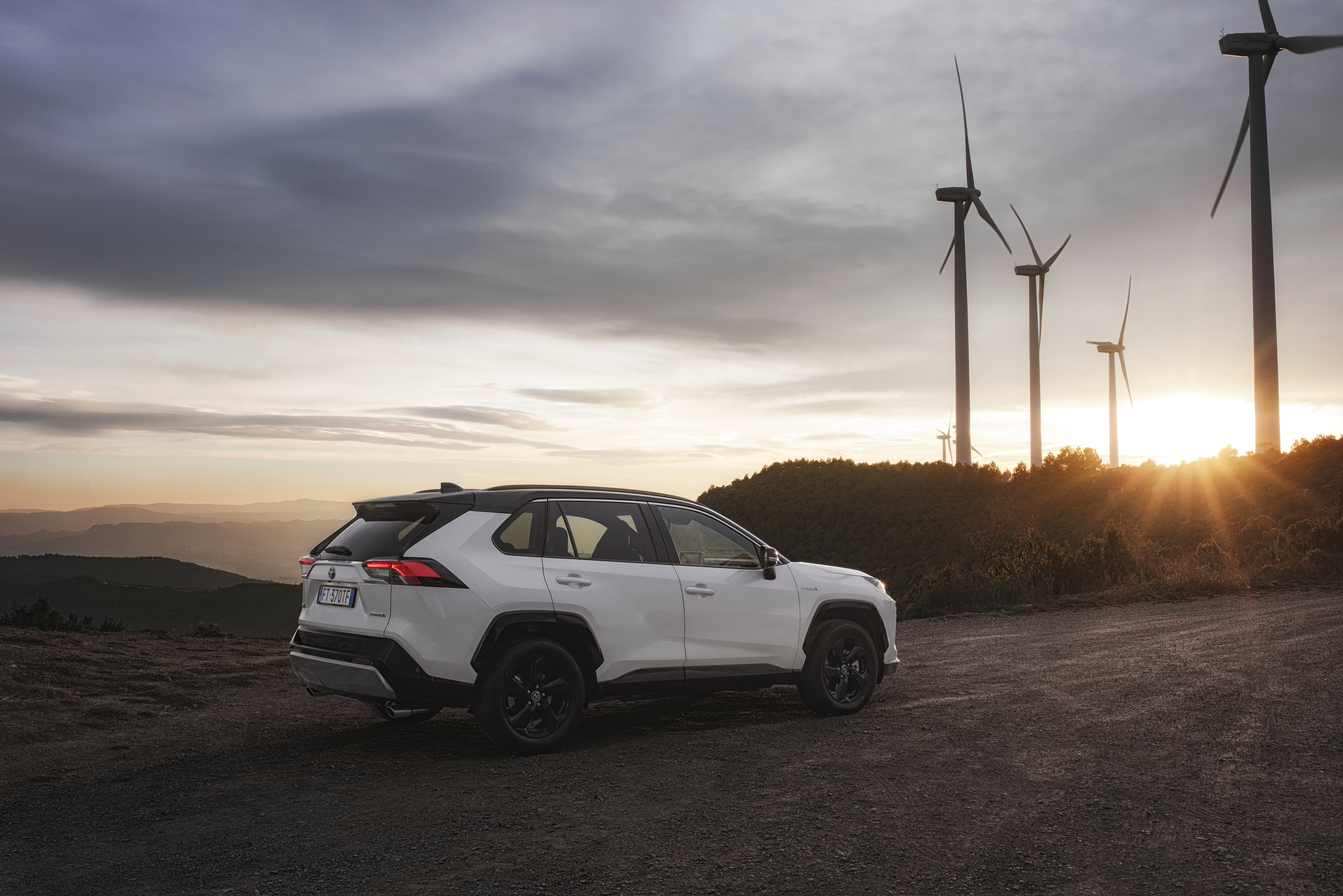 2019 TOYOTA RAV4 stat 02