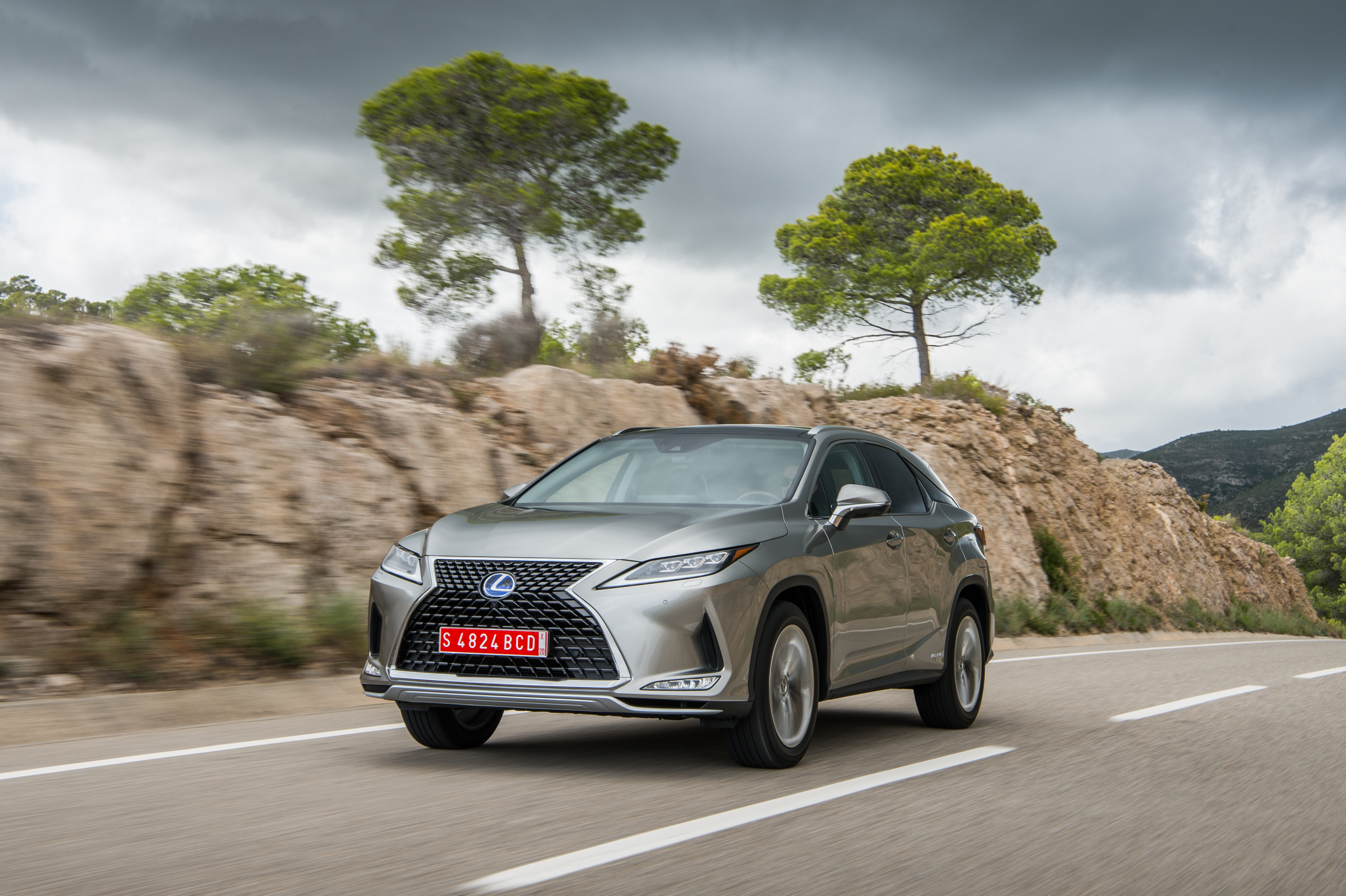 Lexus RX450h Silver 37