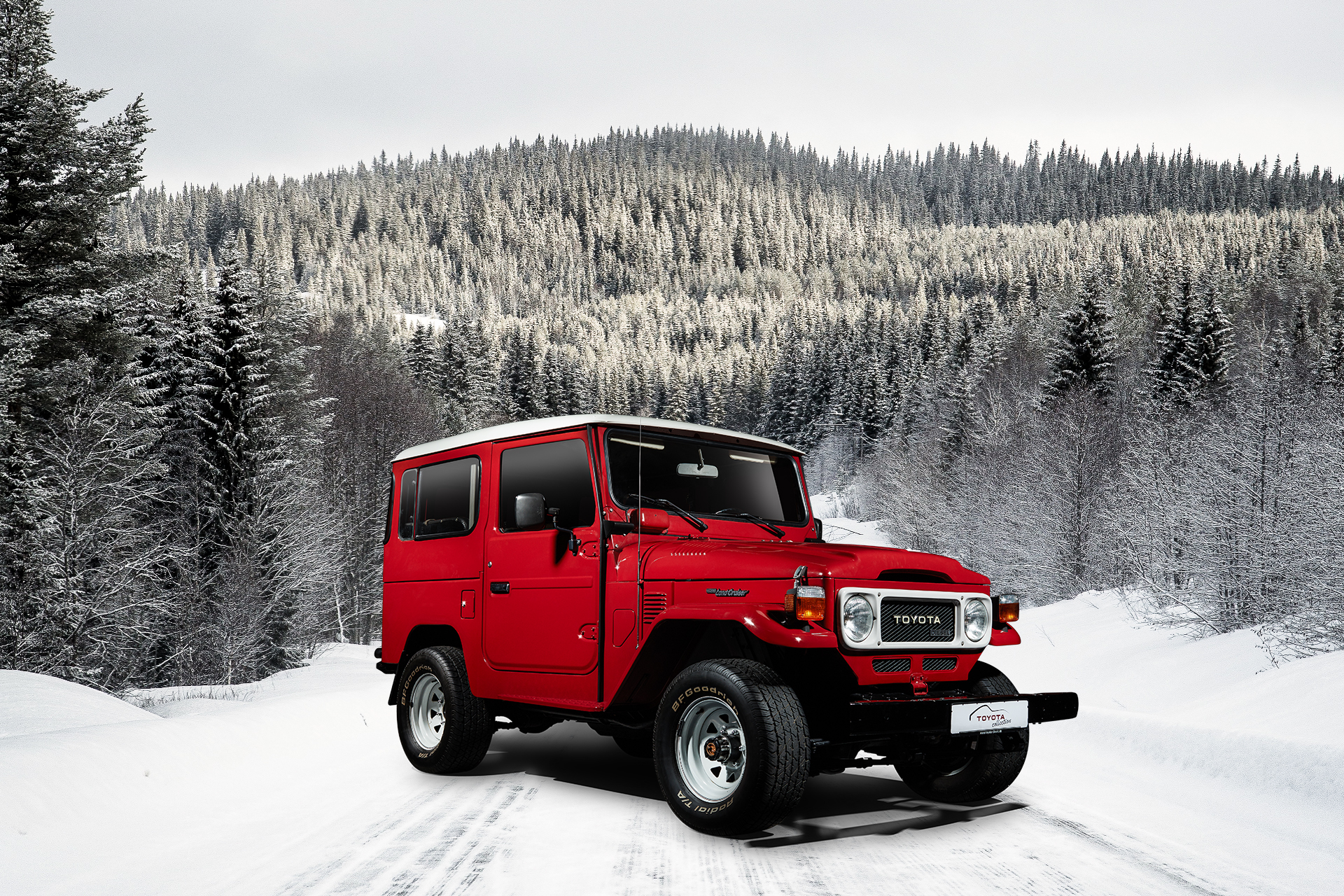 Land Cruiser Snow
